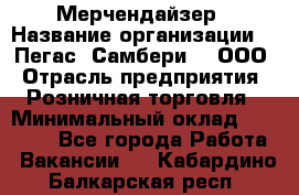 Мерчендайзер › Название организации ­ "Пегас" Самбери-3, ООО › Отрасль предприятия ­ Розничная торговля › Минимальный оклад ­ 23 500 - Все города Работа » Вакансии   . Кабардино-Балкарская респ.